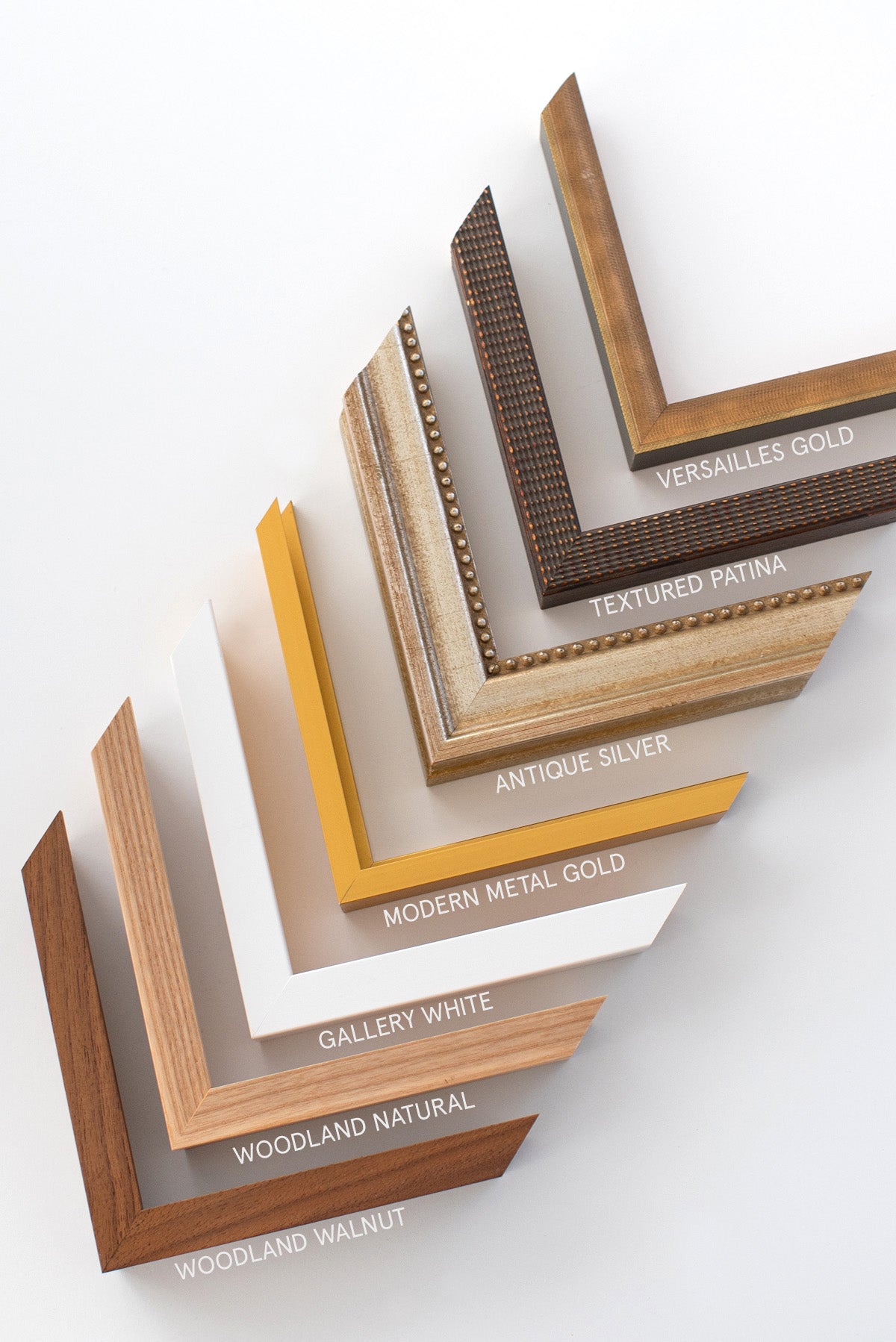 "Living in Color" Flower Print