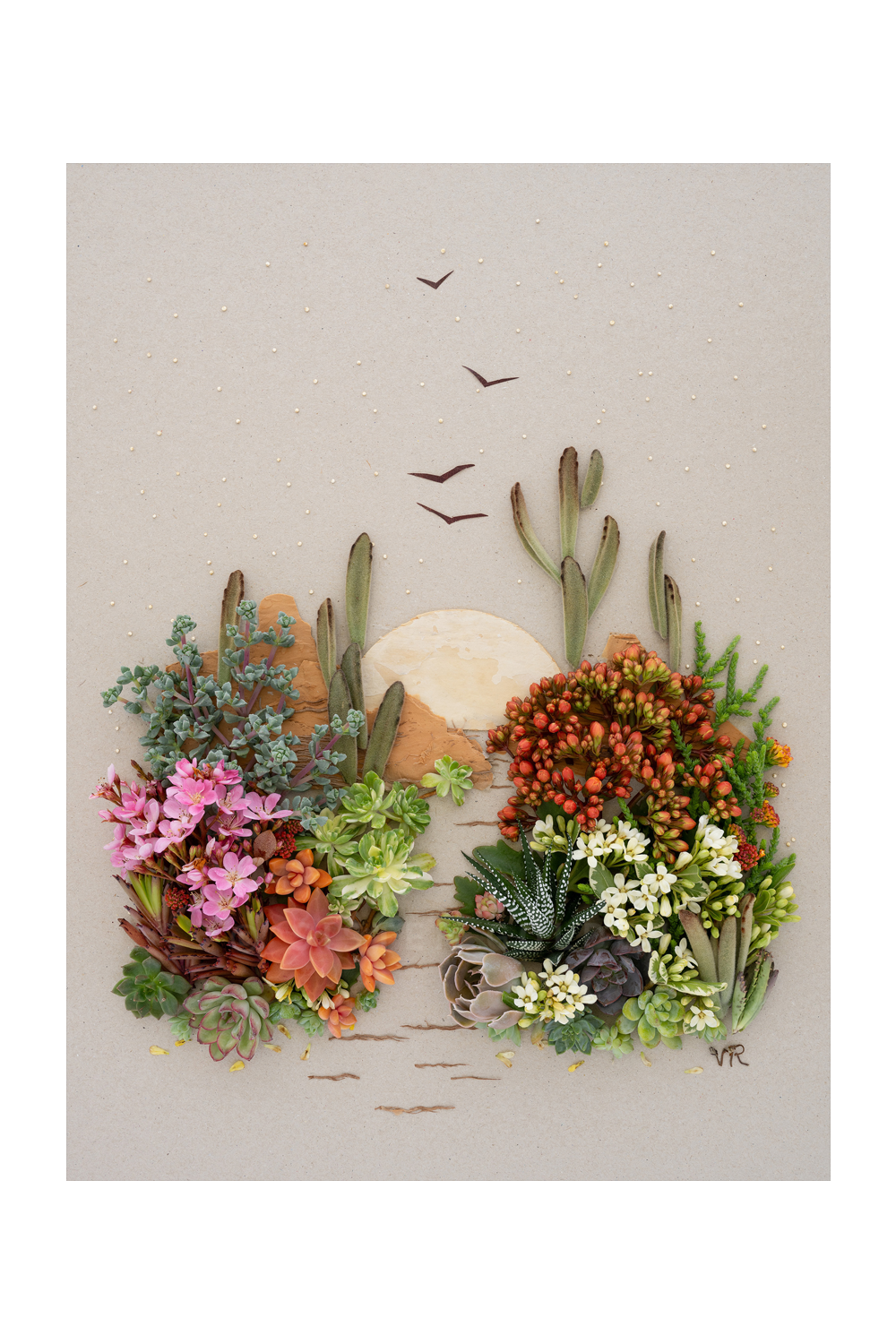 "Desert Dreaming" Flower Print