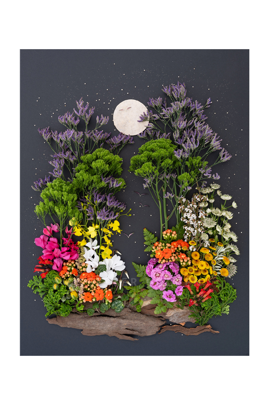 "Living in Color" Flower Print