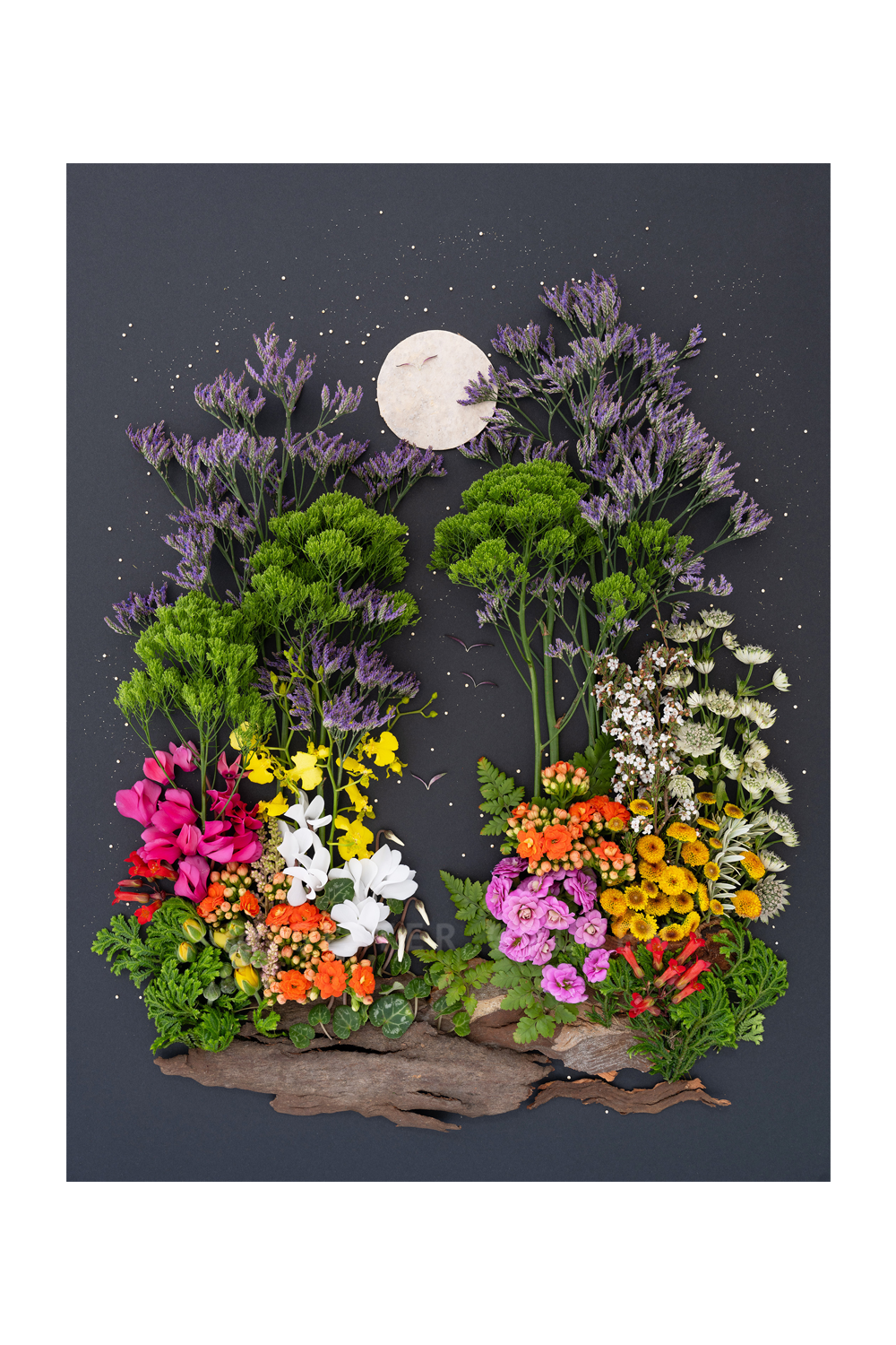 "Living in Color" Flower Print